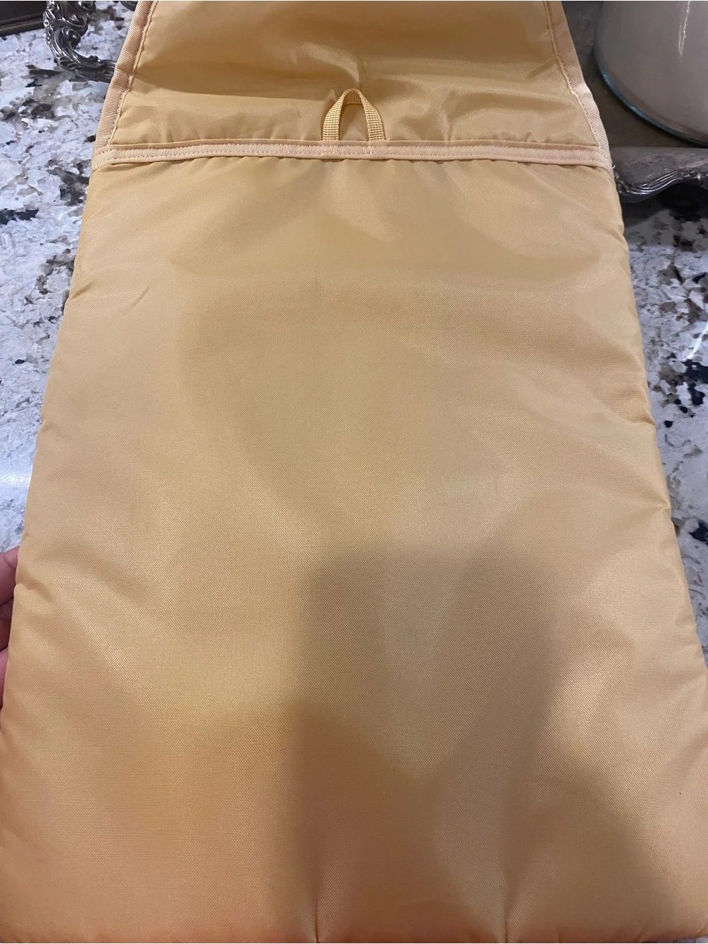 Patagonia padded laptop